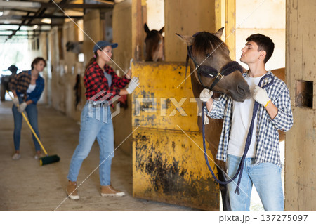 Positive young guy in plaid shirt and gloves takes horse out of stall at stable Positive young guy in plaid shirt and gloves takes horse out of stall at stable 137275097