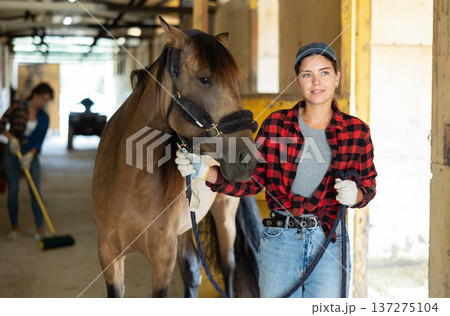 Positive young girl in plaid shirt and gloves takes horse out of stall at stable Positive young girl in plaid shirt and gloves takes horse out of stall at stable 137275104