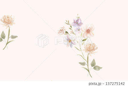 Delicate Pastel Floral Watercolor Wallpaper Patterns With Soft Romantic Blooms And Gentle Botanical Motifs Delicate Pastel Floral Watercolor Wallpaper Patterns With Soft Romantic Blooms And Gentle Botanical Motifs 137275142