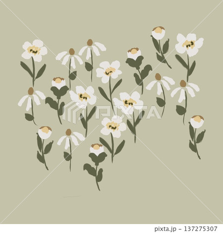 Delicate Pastel Floral Watercolor Wallpaper Patterns With Soft Romantic Blooms And Gentle Botanical Motifs Delicate Pastel Floral Watercolor Wallpaper Patterns With Soft Romantic Blooms And Gentle Botanical Motifs 137275307