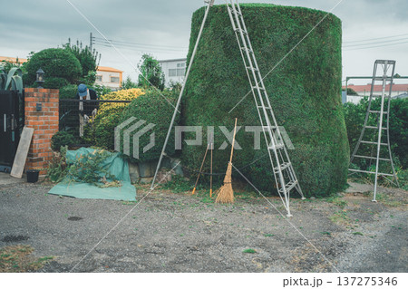 Japanese Gardener 137275346