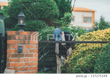 Japanese Gardener Japanese Gardener 137275349
