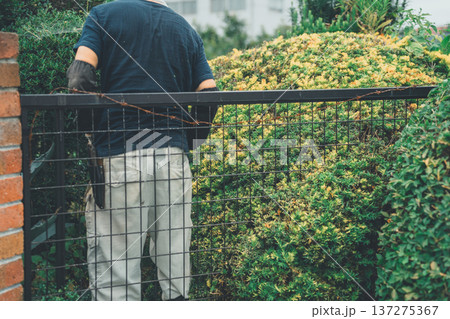 Japanese Gardener 137275367