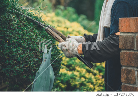 Japanese Gardener 137275376