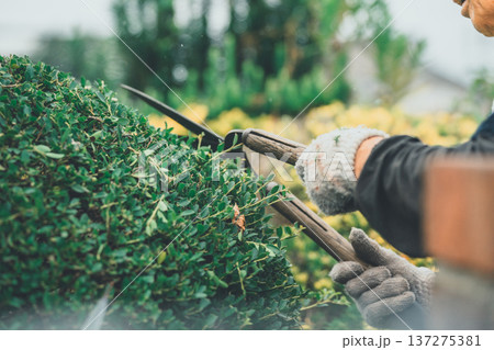 Japanese Gardener 137275381