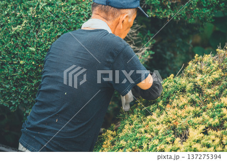 Japanese Gardener Japanese Gardener 137275394