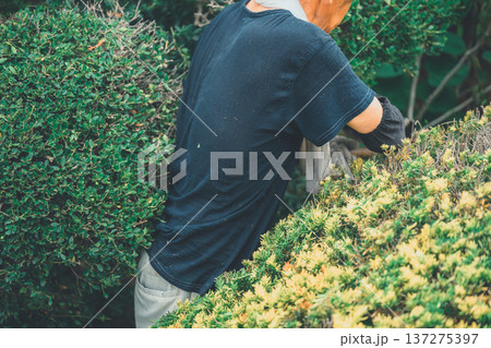 Japanese Gardener Japanese Gardener 137275397