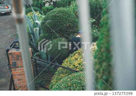 Japanese Gardener Japanese Gardener 137275399