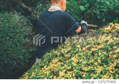 Japanese Gardener Japanese Gardener 137275402