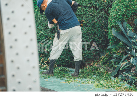 Japanese Gardener Japanese Gardener 137275410