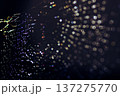 虹色に輝く蜘蛛の巣の美しさ 137275770