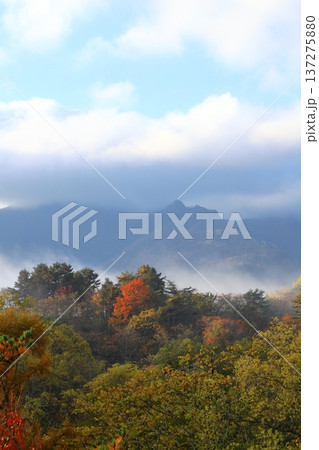 裏磐梯の紅葉 タテ位置 裏磐梯の紅葉 タテ位置 137275880