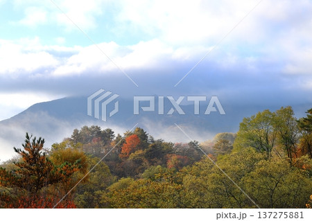 裏磐梯の紅葉 裏磐梯の紅葉 137275881
