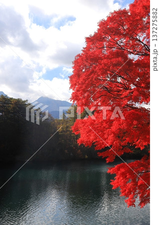 裏磐梯五色沼の紅葉　毘沙門沼 137275882