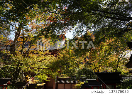 鞍馬寺境内の紅葉 137276086