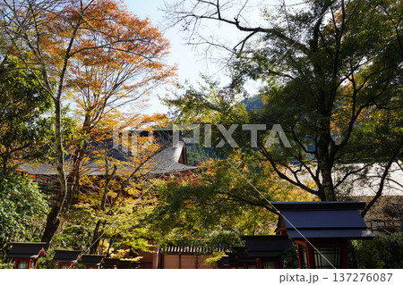 鞍馬寺境内の紅葉 鞍馬寺境内の紅葉 137276087
