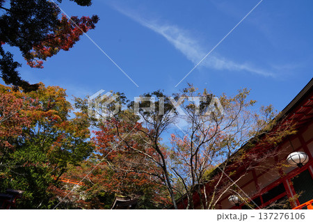 鞍馬寺境内の紅葉 137276106
