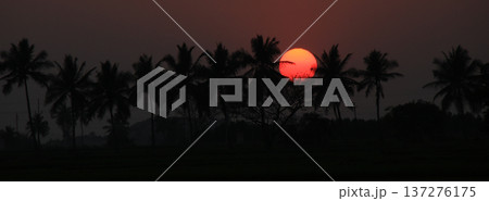 Stunning sunset scene in Basapur, India. 137276175