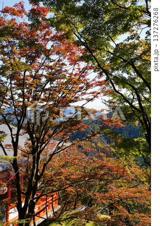 鞍馬寺境内の紅葉 137276268