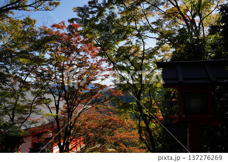鞍馬寺境内の紅葉 137276269