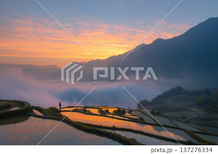 夕焼けの棚田と雲海 山並みの風景3Dイラスト 137276334