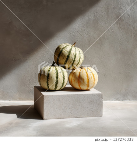 コンクリート台の縞かぼちゃ ミニマル静物 137276335