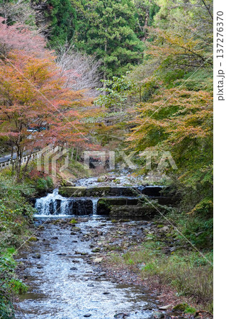 京都貴船の紅葉 137276370