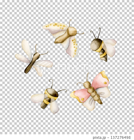 Cute insects Set. Butterfly Bee Dragonfly Moth Watercolor illustration hand painted isolated on white background for nursery baby kids design spring summer cards posters fabrics textile fresh prints Cute insects Set. Butterfly Bee Dragonfly Moth Watercolor illustration hand painted isolated on white background for nursery baby kids design spring summer cards posters fabrics textile fresh prints 137276498