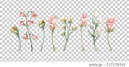 Cute Meadow Flowers Buds Berries. Wildflowers Watercolor summer spring floral illustration hand painted isolated on white background for nursery baby kids design fresh prints cards posters textile 137276502