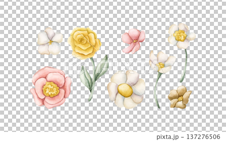 Cute Colourful Meadow Flowers. Wildflowers Watercolor summer spring bloom floral illustration hand painted isolated on white background for nursery baby kids design fresh prints cards posters textile 137276506