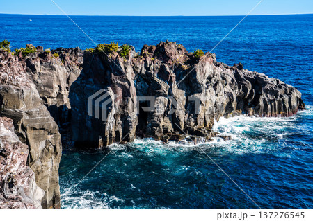 城ヶ崎海岸【静岡県伊東市】 城ヶ崎海岸【静岡県伊東市】 137276545