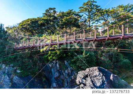 城ヶ崎海岸　門脇吊り橋【静岡県伊東市】 137276733