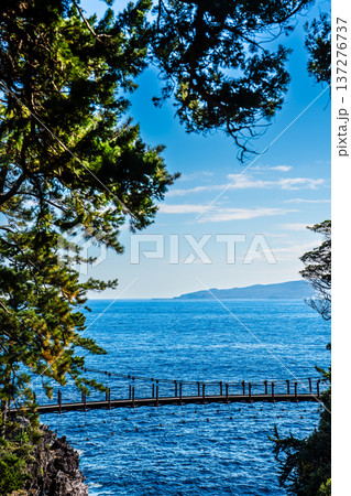 城ヶ崎海岸　門脇吊り橋【静岡県伊東市】 137276737