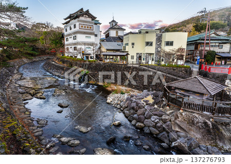 修善寺夜明け 桂川ととっこの湯【静岡県伊豆市】 修善寺夜明け 桂川ととっこの湯【静岡県伊豆市】 137276793