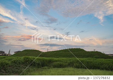 埼玉　夕暮れの将軍山古墳（埼玉古墳群） 137276832