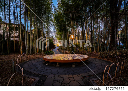 修善寺夜明け　竹林の小径【静岡県伊豆市】 137276853