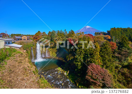 紅葉の静岡県富士宮市の音止の滝と富士山を見る 紅葉の静岡県富士宮市の音止の滝と富士山を見る 137276882