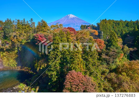 紅葉の静岡県富士宮市の音止の滝付近から富士山を見る 紅葉の静岡県富士宮市の音止の滝付近から富士山を見る 137276883