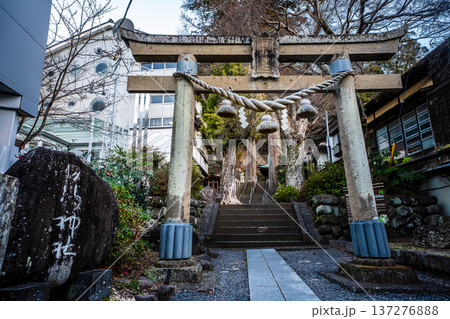 修善寺夜明け　日枝神社【静岡県伊豆市】 137276888