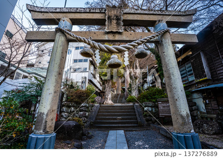 修善寺夜明け 日枝神社【静岡県伊豆市】 修善寺夜明け 日枝神社【静岡県伊豆市】 137276889