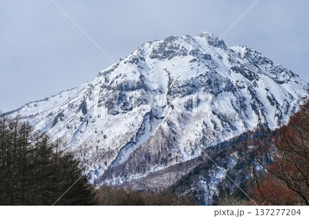 厳冬期の上高地 137277204