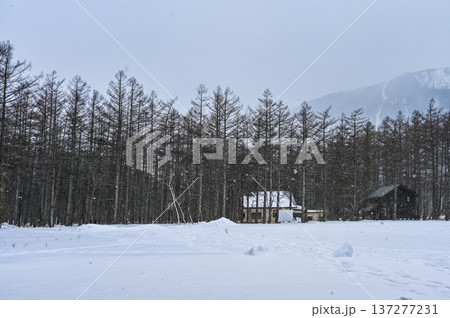 厳冬期の上高地 厳冬期の上高地 137277231