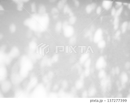 Shadow Background Abstract Leave Overlay Wall Floor Light Effect White Plant Sunlight Backdrop Mockup Minimal Spring Summer Nature Grey blur Photography Scene Template Poster Card Frame Product. 137277399