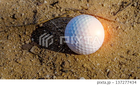 White golf ball has landed in a hazard area. 137277434