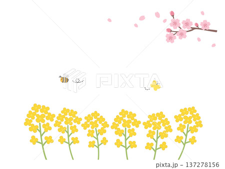 春のバナー　春のお花のフレーム背景　春素材　春の背景　テンプレート素材 137278156