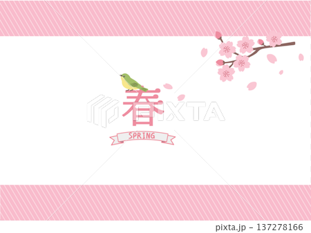 Spring banner, pink frame material, cherry blossom and bush warbler illustration, spring background, spring material Spring banner, pink frame material, cherry blossom and bush warbler illustration, spring background, spring material 137278166
