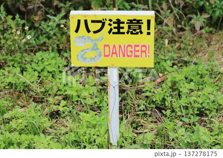 ハブ注意の看板 ハブ注意の看板 137278175