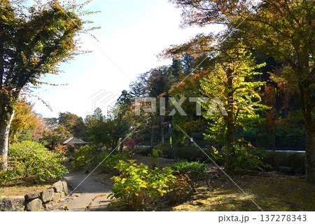 偕楽園もみじ谷の紅葉　2025-11-8　＃34 137278343