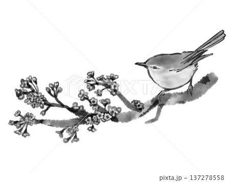 桜の枝にとまるウグイス（墨絵風） 137278558