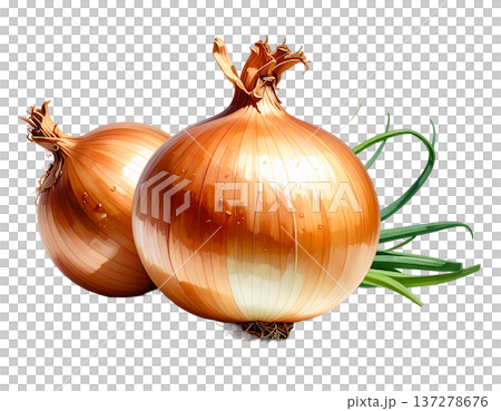 瑞々しい旬の輝き、白背景に映える新鮮な玉ねぎの詰め合わせ 137278676